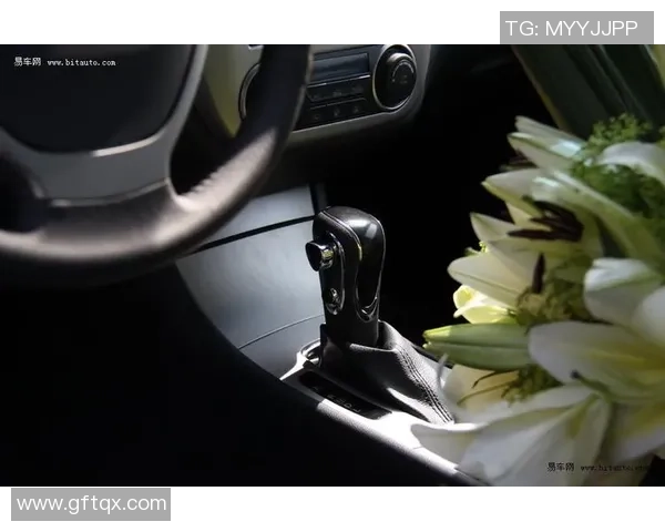 独家解析广州排球队技术特点与对手实力的全面对比分析